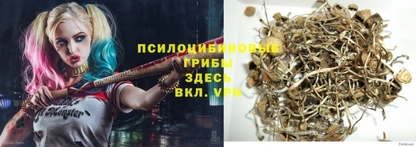 мескалин Осташков