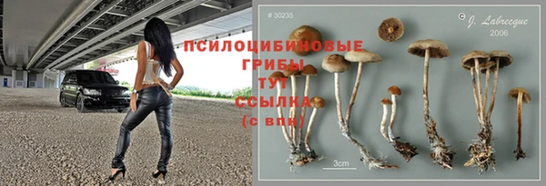 гашик Остров