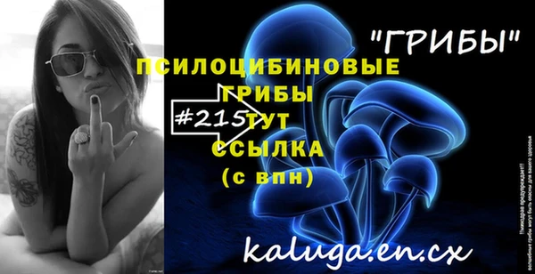 гашик Остров