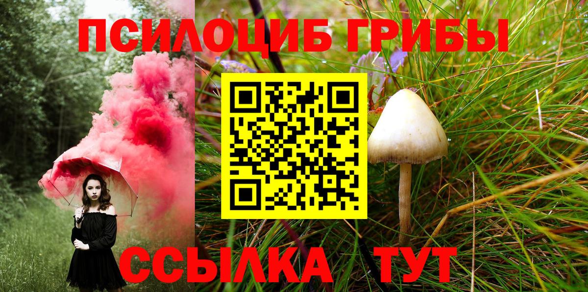 Галлюциногенные грибы GOLDEN TEACHER  Псилоцибиновые грибы Magic Shrooms  Вход с VPN  Североуральск 